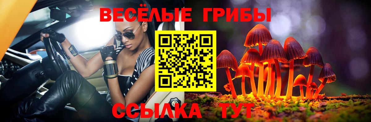 Курганинск  Галлюциногенные грибы Magic Shrooms  Вход с VPN 